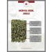  Lerbs & Hagedorn Sencha Green Tea Allenium 1 kg Mango - Buy Online on GoSupps.com