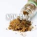 McCormick Gourmet Organic Roasted Ground Cumin - 1.5 oz | High-Quality Spice for Culinary Delights - Buy Online on GoSupps.com