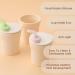 Miniware 1-2-3 Sip! Training Cup for Baby - Non Drip Lid - Dishwasher Safe - Toffee + Toffee - Buy Online on GoSupps.com