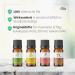 SOS Smell Training Set with Essential Oils | Effective Olfactory Pens for Loss of Smell | Eucalyptus Rose Lemon Nelke | Learn to Smell Again - Buy Online on GoSupps.com