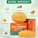 Solid Shampoo Conditioner Bar 2-In-1 | pH Balanced Vegan Citrus Shampoo for Dry Itchy Oily Scalp | Cruelty-Free Hair Care (Pack of 2 - Buy Online on GoSupps.com