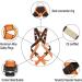 HeeJo Kids Body Youth Safety Zipline Climbing Belt - Orange (8-14 Years) - Buy Online on GoSupps.com