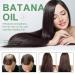 Natural Raw Batana Hair Oil Conditioner - Organic Hair Growth & Moisturizing Scalp Treatment for Men & Women - Prevent Hair Fall & Restore Damaged Hair 3.52FL. OZ - Buy Online on GoSupps.com