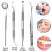 Professional Dental Tools Set - 4 Pc Stainless Steel Teeth Cleaning Kit for Adults Kids & Pets | Tartar Remover & Oral Hygiene Care - Buy Online on GoSupps.com