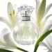 Parfumes Spray for Women Eau de perfumery sweet scent and light flavor perfumes de mujer originales 1.7 Ounce 50ml (Lily) - Buy Online on GoSupps.com