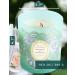 Pear Freesia & English Rose Scented Candle | Long Lasting Aromatherapy Candles | Natural Soy Wood Wick | Refreshing Home Fragrance for Women - Buy Online on GoSupps.com