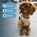 Voyager Step-In Plush Dog Harness Soft Plush Step In Vest Harness for Small and Medium Dogs by Best Pet Supplies - Harness (Latte Suede) S (Chest: 14.5-17") Harness (Latte Suede) S (Chest: 14.5 - 16") - Buy Online on GoSupps.com