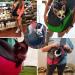 Petemoo Portable Pet Carrier - Travel Shoulder Bag for Dogs & Cats (up to 5kg) - Breathable Mesh Green - Buy Online on GoSupps.com