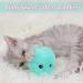 Buy PUPPBUDD Interactive Cat Toy with Catnip - Electric Sound Ball for Cats | Blue - International Shipping Available - Buy Online on GoSupps.com