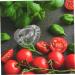 BCOATH 2 Sets Heart Shaped Tomato Mold Tomatoes Fruit Accessory Convenient Fruits Plastic Shaping Abrasives - Buy Online on GoSupps.com