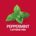 21st Century Herbal Slimming Tea - Caffeine-Free Peppermint, 24 Tea Bags (1.7 oz) - Buy Online on GoSupps.com