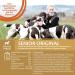 Wellness Core Original Senior Natural and Grain-Free Senior Dog Food for All Sizes Turkey/Chicken 1.8 kg - Buy Online on GoSupps.com