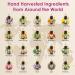 100% Natural Aromatherapy Essential Oils Set for Home Diffuser - 10ML x 20 - Gift Set for Relaxing, Cleaning, and Home Fragrance - Buy Online on GoSupps.com