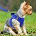 Joytale Reflective Soft Padded Dog Harness for Small Dogs - Air-Mesh Design for Puppies (S 38-42cm) - Royal Blue - Buy Online on GoSupps.com