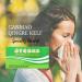 GinSen Gan Mao Qing Re Natural Immunity Booster Tea Relieves Cold Fever Flu Cough Headache Sore Throat Remedy - 10 Sachets