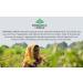 Organic India Energy Restore - Daily Stamina & Resilience 90 Veg Caps - Buy Online on GoSupps.com