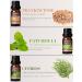 SALKING Woody Essential Oils Set for Men - 100% Pure Aromatherapy Fragrance Oils - Frankincense Teakwood Sandalwood - 6 x 10 ML - Buy Online on GoSupps.com