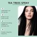  homomdy Tea Tree Oil Conditioner Sprays Leave-In Natural & Refreshing Soothes Dry Scalp Moisturizes & Nourishes Easily Detangles Controls Frizz Fight - Buy Online on GoSupps.com