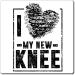 Hilarious Surgical Joint Legs Substitution Replacing Lover Humorous Operation Treatments Joint Legs Knees Magnets 3" 3" - Buy Online on GoSupps.com