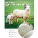 Organic Wool Dryer Balls 6 Pack XL - Natural Fabric Softener Baby Safe & Reusable Lint-Free & Odorless Laundry Solution - Buy Online on GoSupps.com