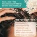Shampoo Conditioner & Serum Set | Fermented Rice Water & Biotin | Hair Growth Repair Kit | Sulfate Free Vegan All Hair Types - Buy Online on GoSupps.com