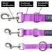 Kuri Pai 3m Dog Leash for Medium Dogs - Comfortable & Sustainable Bamboo Leash - Purple - Ideal for Daily Walks - Buy Online on GoSupps.com