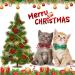 ADOGGYGO Christmas Cat Collar 2 Pack - Red Green Plaid Pattern Xmas Kitten Collar with Bow Tie Bell - Cute Holiday Collar for Kitten Cat - Buy Online on GoSupps.com