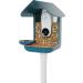 Bird Buddy Original 3-in-1 Feeding Set | Water Fountain Fruit Skewer & Jelly Tray - Blue Color | International Shipping - Buy Online on GoSupps.com