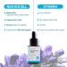Bakuchiol Retinol Alternative Serum | Anti-Aging Rejuvenation for Fine Lines & Wrinkles | Hydrating Facial Treatment 1fl.Oz - Buy Online on GoSupps.com