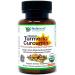 Organic Turmeric Curcumin Supplement with Vegan Omega 3 6 7 & 9 Turmeric Capsules for Sensitive Stomach | Turmeric Supplement with Black Pepper Sea Buckthorn Oil Ginger and Amla | 90 Caps