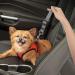 Adjustable Seat Belt for Dogs - Reflective Striped Dog Car Belt for All Sizes | Lollanda - Buy Online on GoSupps.com