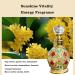 Perfume Spray Travel Size Mini Perfumes for Women Eau de Parfum Long Lasting Fragrance Blend of Fruity and Floral Scent Travel Essentials for Women One Size Gold-1 - Buy Online on GoSupps.com