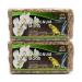 Terra Exotica Sphagnum Moss (300 g) peat moss for garden houseplants & terrariums