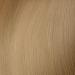 L'Or al Paris Majir.10.31 Platinum Blue Gold Ash - 50ml | Shop Internationally for Premium Hair Color - Buy Online on GoSupps.com