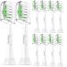 Toothbrush Replacement Heads for Philips Sonicare Electric Brush Head Compatible with Protectiveclean C1 C2 C3 G2 2 Series 4100 5100 White 10 Packs White Green 1 Count (Pack of 10)