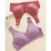XWSM 2 Series Pack Wireless Bralette for Older Women - Comfortable & Supportive Everyday Bras for Seniors Size 38E - Buy Online on GoSupps.com