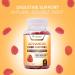 Daily Prebiotic Fiber Gummies for Adults - 60 Count - Digestive Health Support for Men and Women - Natural Dietary Supplement - Buy Online on GoSupps.com