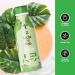 Leche Pal Pelo Detox Shampoo - Apple Cider Vinegar & Honey Infused | pH Balanced Hair Transformation | Moisture & Shine Repair - 14.9 oz - Buy Online on GoSupps.com