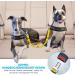 Slowton 2-in-1 Dog Car Seat Belt - Durable Tangle-Free Adjustable & Reflective for Medium Dogs - Yellow - Buy Online on GoSupps.com