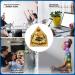 Leo Zodiac Tiger Eye Orgone Pyramid for Meditation and Stress Relief - Buy Online on GoSupps.com