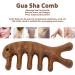 Premium Sandalwood Hood Scalp Massage Comb - Wide Tooth Wooden Hair Comb for Stress Relief & Relaxation - Buy Online on GoSupps.com