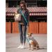 Freehand Linen Dog Leash - Adjustable 2.5m Jogging & Hiking Leash for Large Medium & Small Dogs - Fieline Exercise Leash in Black - Buy Online on GoSupps.com