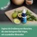 Trace Minerals Keto Electrolyte Drops | Full Spectrum Electrolytes | Gluten-Free Vegan | 24 Portions (118 ml) | Avoid Dehydration & Muscle Cramps - Buy Online on GoSupps.com