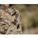 Kestrel Elite Weather Meter with Applied Ballistics & Bluetooth - Flat Dark Earth - Buy Online on GoSupps.com