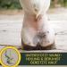 Zinc Ointment for Horses Dogs & Cats - 250ml Wound Healing Cream & Eczema Relief - Buy Online on GoSupps.com