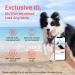 Pawaii XS Dog Harness for Small Dogs - Anti-Pull Reflective Adjustable Breathable Chest Harness with Handle - Deep Sea Blue - Buy Online on GoSupps.com