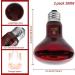 Repti Home Infrared Heat Lamps for Reptiles - 2 Pack 100W Red Spot Light for Reptiles Amphibians & Chicken Coops - Buy Online on GoSupps.com