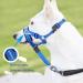 Dog Head Collar No-Pull Dog Collar Durable Training Dog Collar Head Halter Collar for Dog Stops Heavy Pulling and Easy Control on Walks Adjustable(3 Color/4 Sizes) (M Blue) M Blue - Buy Online on GoSupps.com