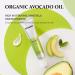 COSNORI Avocado Eye Cream - Organic Nourishing Face & Eye Treatment - Anti Wrinkle, Depuffing & Irritation Free - 1.01 oz - Buy Online on GoSupps.com