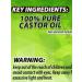 Tru Green Jamaican Black Castor Oil (8 Oz) - Pure Lightly Roasted Stimulates Hair Growth & Moisturizes Skin for All Hair Types - International Shipping Available - Buy Online on GoSupps.com